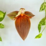 Hadas de lana natural